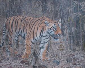 OWG005 Owain George Consuming the Spirit