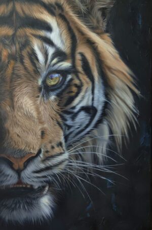 57c2bfec d8a5 4d23 8bc2 698c6161f5ac