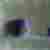 SOLD-ROW003-Rob-Walker-Plums-Blue-Pot-Glass