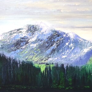 Close Up Robin Souter Loc Montriond French Alps