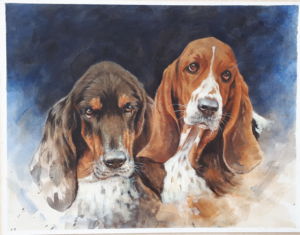 TOA003-Tony-Alcock-Bassett-Hound-Close-Up