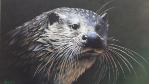 TOA008-Tony-Alcock-Head-of-an-Otter