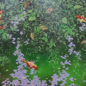 TOA032 OARE HOUSE WATERS