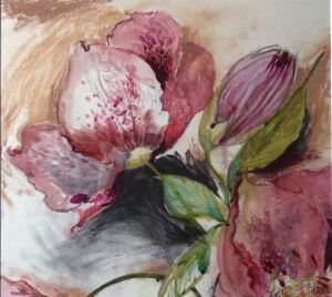 VIK003 Victoria Kennedy Helleborus Orientalis