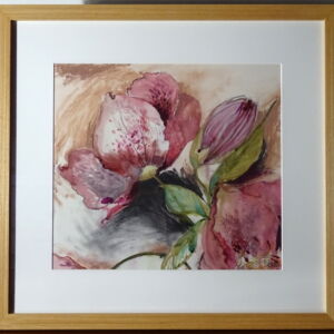 With Frame Victoria Kennedy Helleborus Orientalis