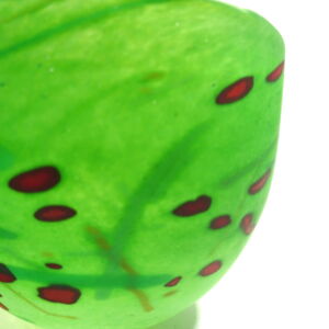 Close-Up-Shakspeare-Glass-Hedgerow-Small-Bowl