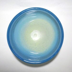 Above Shakspeare Glass Medium Coast Bowl