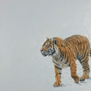 Dunia Yang Menghilang OWG012