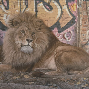 OWG001 Owain George No Pride