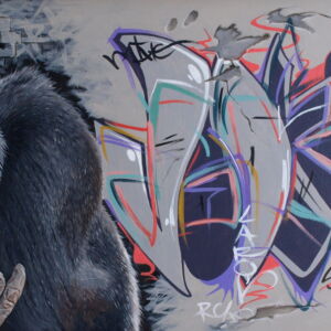 OWG002 Owain George Gorilla Warfare