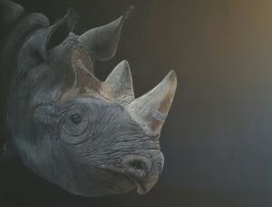 OWG004 Owain George Black Market