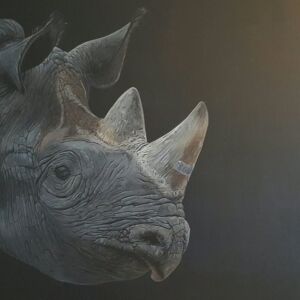 OWG004 Owain George Black Market