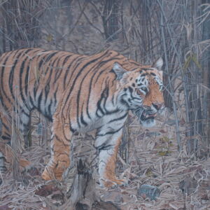 OWG005 Owain George Consuming the Spirit