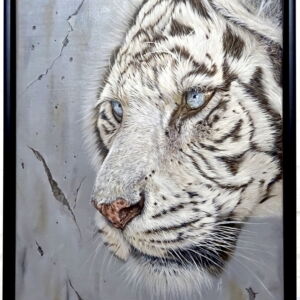 OWG008 DISTORTED VISION