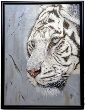 OWG008 DISTORTED VISION