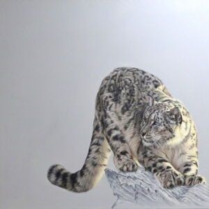 OWG011 EDGE OF THE VOID