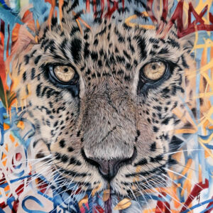 Tagged Leopard OWG009