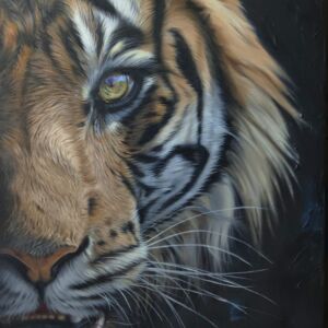 57c2bfec d8a5 4d23 8bc2 698c6161f5ac