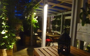 Lounge Bar Garden 2