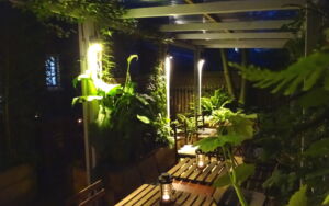 Lounge Bar Garden 4